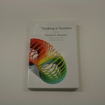 THINKING IN SYSTEMS