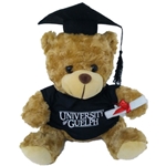 Graduation Bear