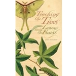 TEACHING THE TREES : LESSONS FROM THE FOREST