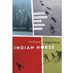 INDIAN HORSE