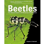 BEETLES