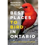 Best Places to Bird in Ontario