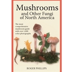 Mushrooms and Other Fungi of North America