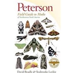 PETERSON FIELD GUIDE TO MOTHS OF NORHEASTERN NORTH AMERICA