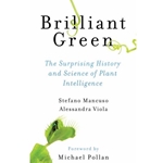 Brilliant Green