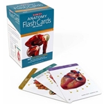 Anatomy Flash Cards