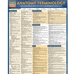 Anatomy Terminology