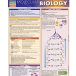 Molecular Biology