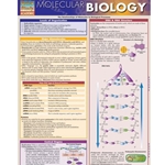 Molecular Biology