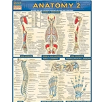 Anatomy 2