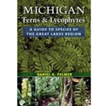 Michigan Ferns and Lycophytes