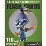 Backyard Birds Flash Cards - Eastern and Central North America