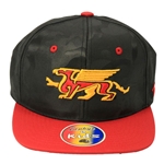 Gryphons Youth Black/Red Snapback Hat