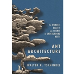 Ant Architecture