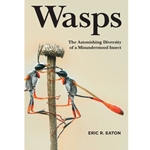Wasps