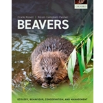 Beavers