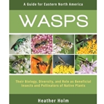 Wasps