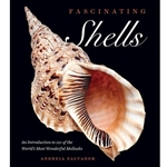 Interesting Shells