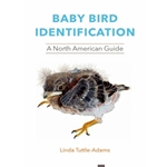 Baby Bird Identification