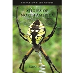 Spiders of North America