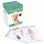 Anatomy Flashcards