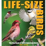 Life-Size Birds