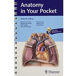 Anatomy in Your Pocket