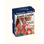 Trail Guide to the Body 6e Flashcards, Volume 2