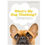 What's My Dog Thinking?