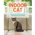 Indoor Cat