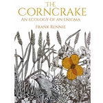 The Corncrake