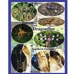 Life Size Damselflies and Dragonflies of Southern Ontario