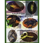 Life Size Amphibians and Reptiles of Southwestern Ontario