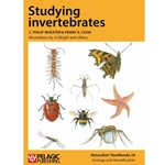 Studying Invertebrates