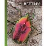 The Lives of Beetles