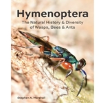 Hymenoptera