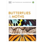 Butterflies and Moths