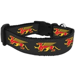 Gryphons Dog Collar