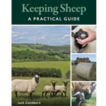 Keeping Sheep