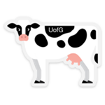 Clear U of G Cow Sticker