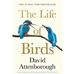 The Life of Birds
