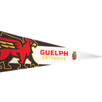 Felt Gryphon Pennant