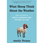 What Sheep Think about the Weather