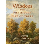 Wisdom from the Hidden Life of Trees