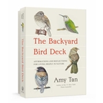 The Backyard Bird Deck