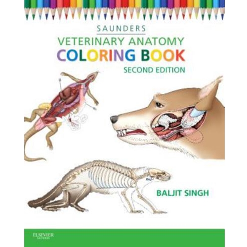 University of Guelph Bookstore - Veterinary Anatomy Flash Cards