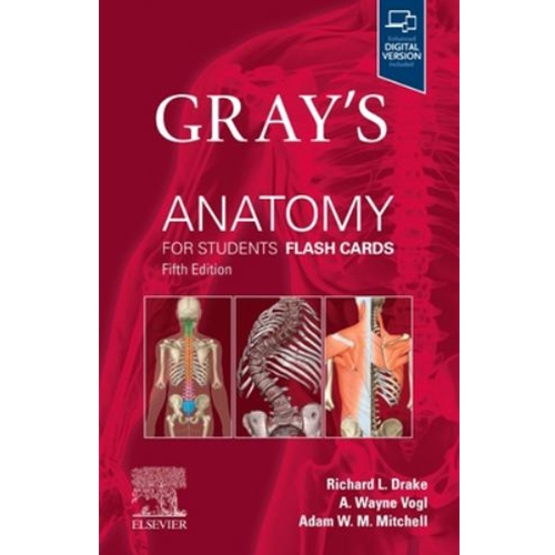 【メーカー再生品】 フラッシュカード ANATOMY GRAY'S 第5Gray's Anatomy たより カードダスその他