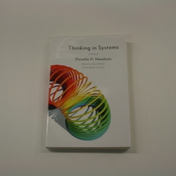 THINKING IN SYSTEMS
