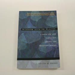 WISDOM SITS IN PLACES