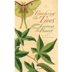 TEACHING THE TREES : LESSONS FROM THE FOREST